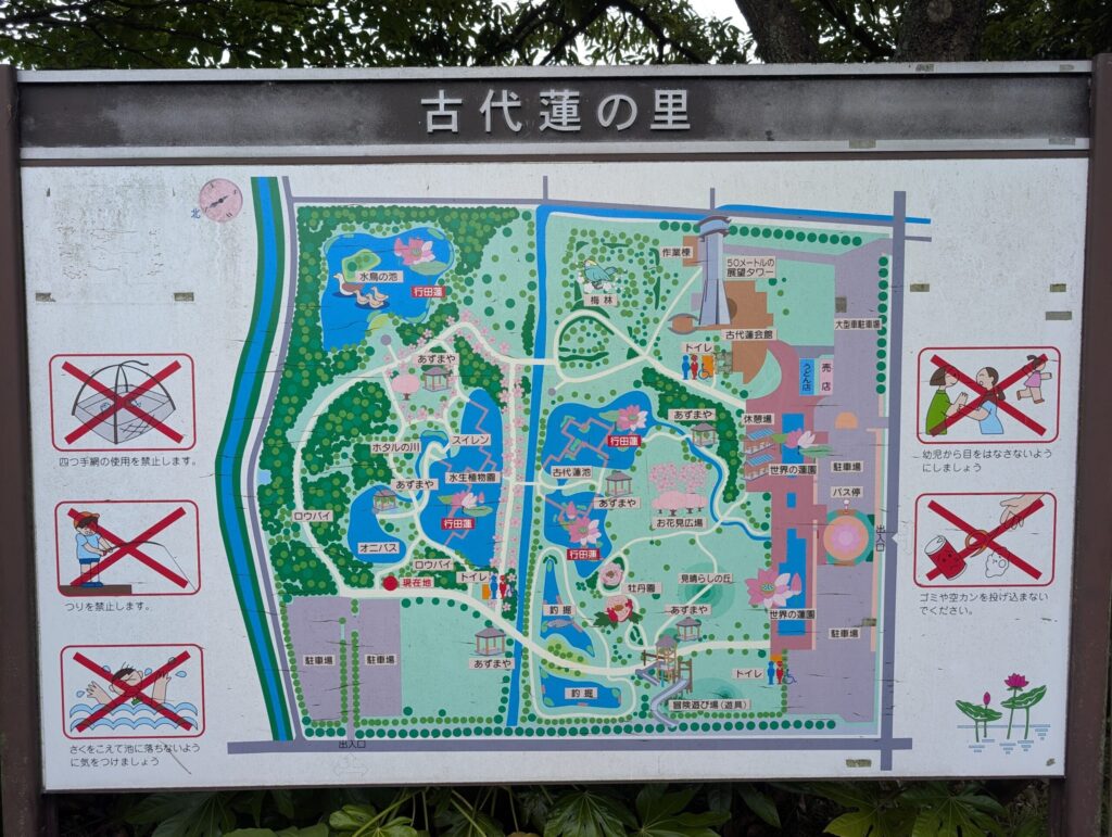 古代蓮の里の園内マップ