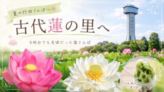 古代蓮の里アイキャッチ画像